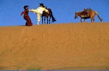 Tigre et Dragon casse la baraque � NY